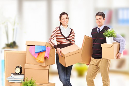 Professional man with a van handling boxes and household items